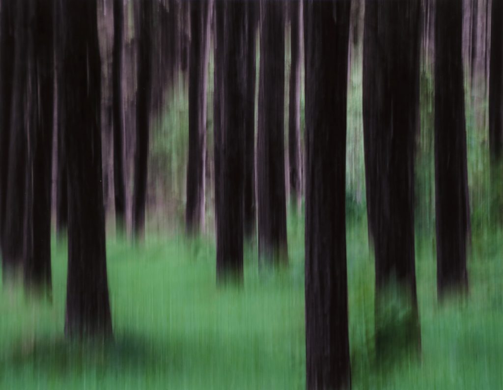 1A-aIMG_0038.jpg
