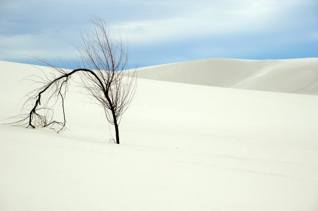 7B-001-181904-0116-White Sands National Monument.jpg