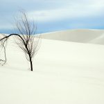 7B-001-181904-0116-White Sands National Monument.jpg