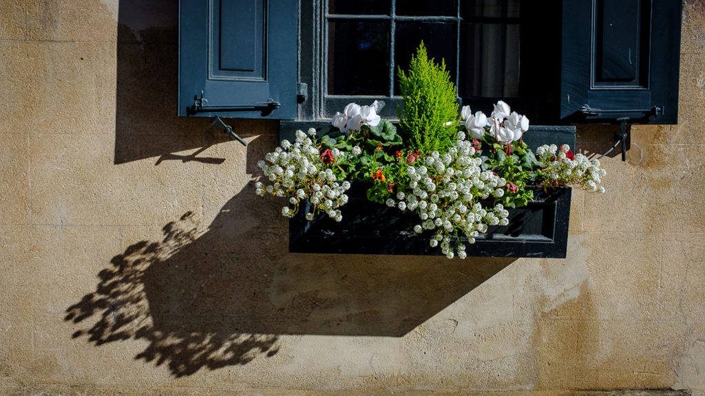 3B-c02-001-110420-3B-0217-CharlestonWindowBox
