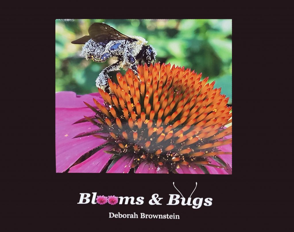 Book 2018 2nd- Debbiie 20181212_184651